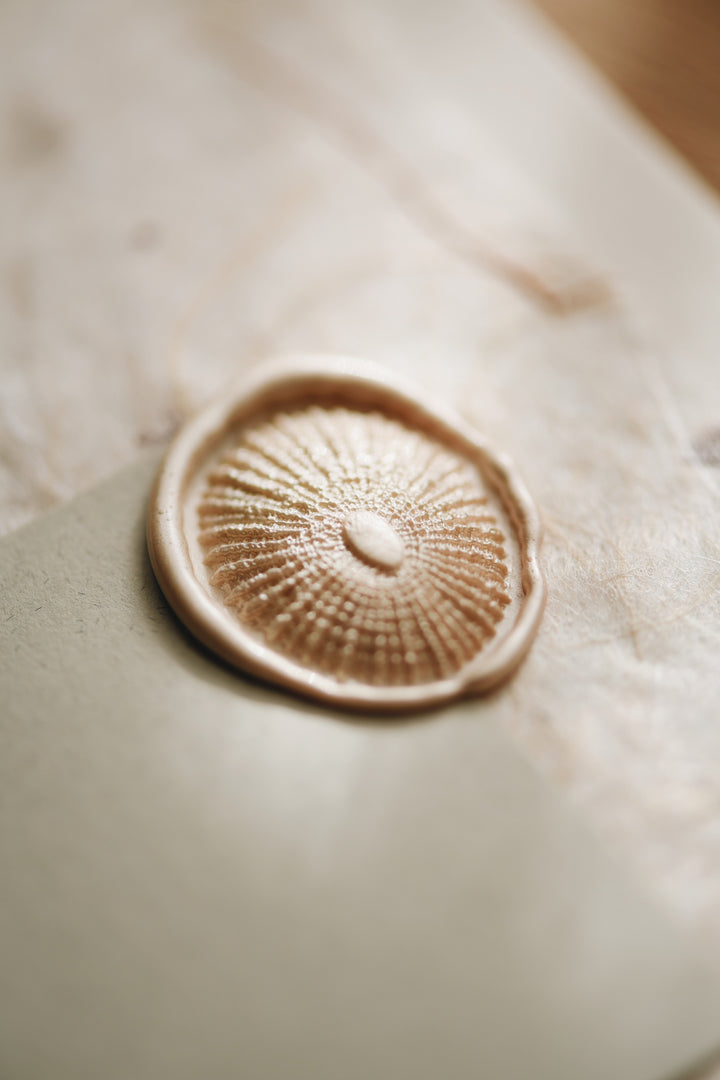 3D Shell Wax Stamp