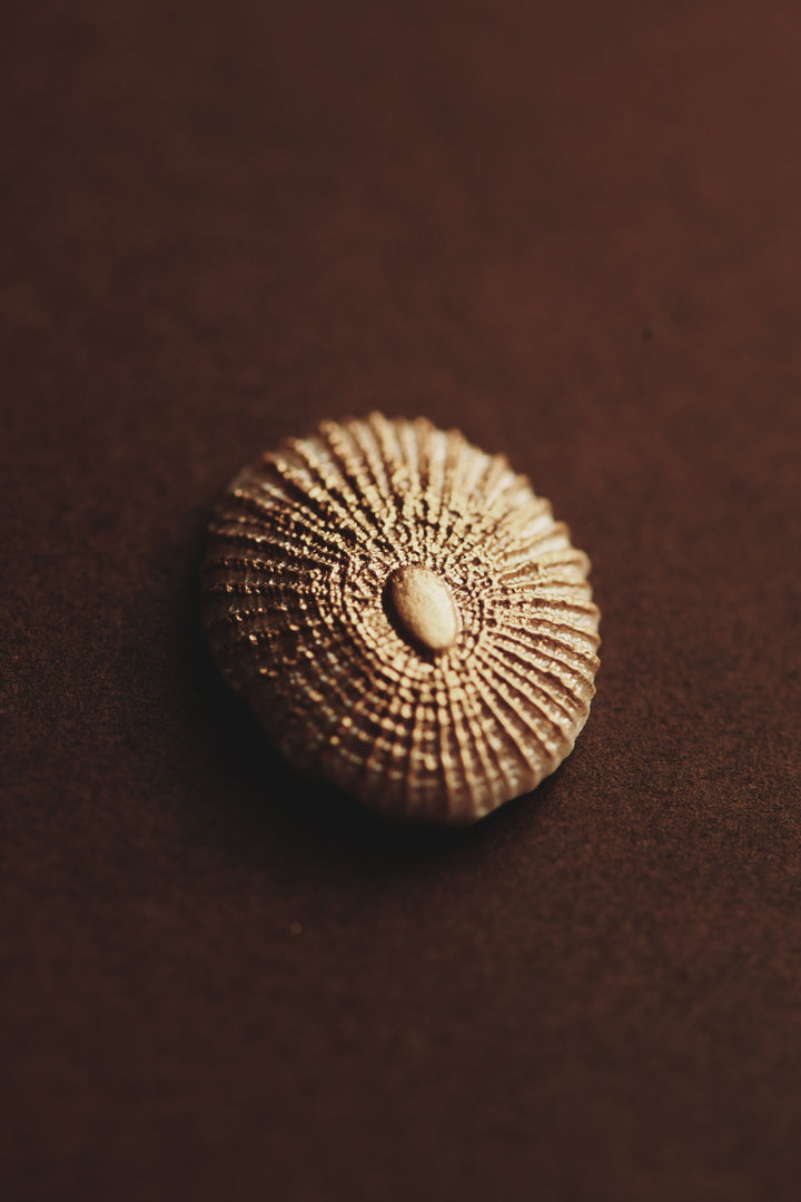 3D Shell Wax Stamp (Restock in Apr)