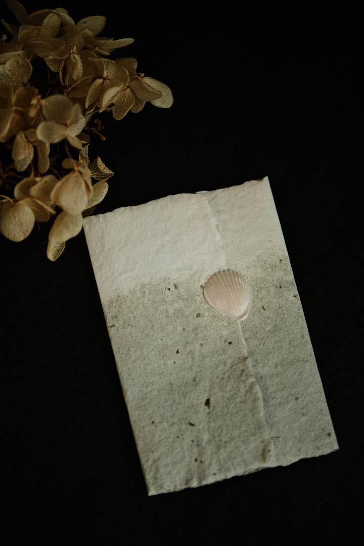 3D Cockle (Fan-shaped Shell) Wax Stamp