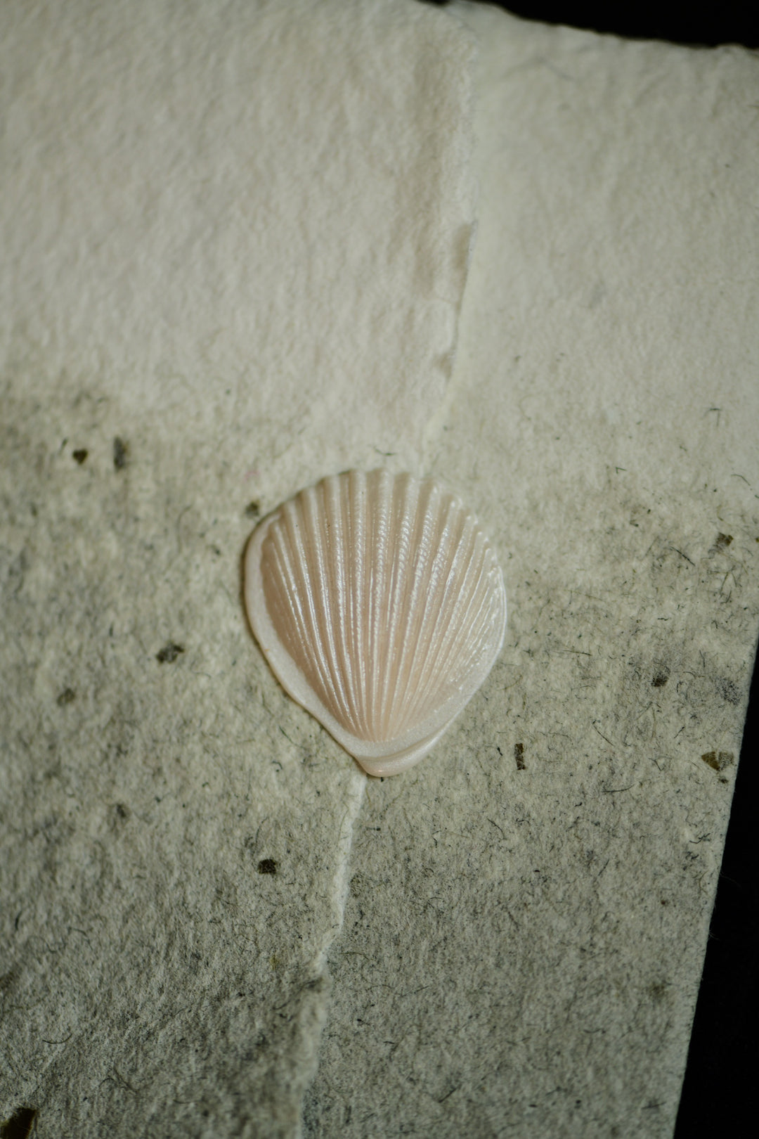 3D Cockle (Fan-shaped Shell) Wax Stamp