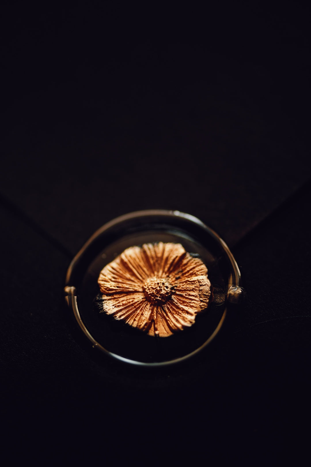 3D Cosmos Wax Stamp