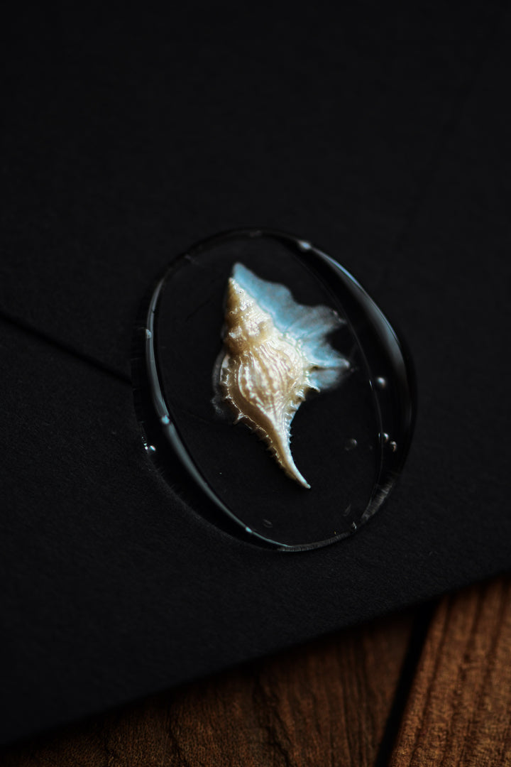 3D Murex (Sea Snail) Wax Stamp