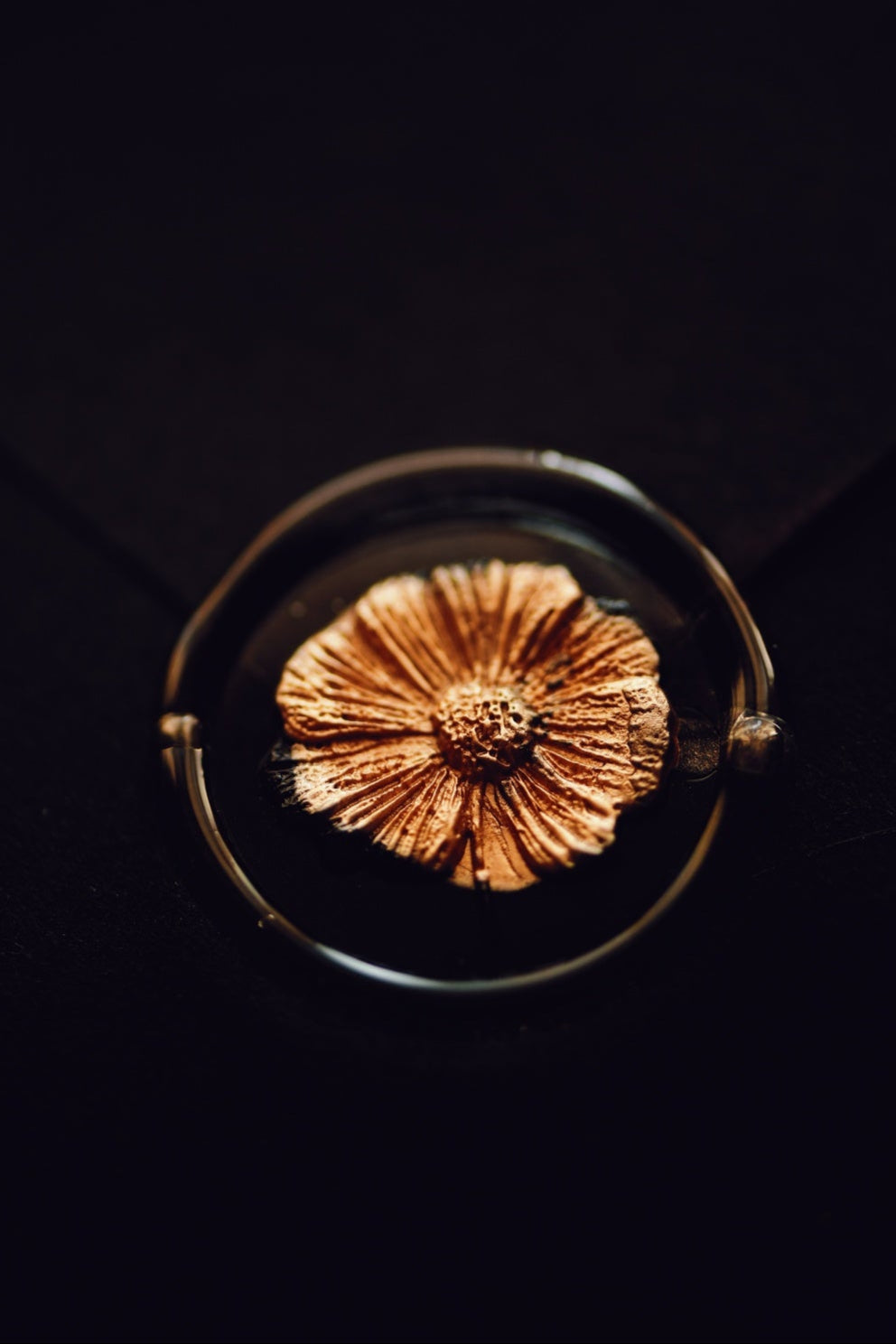 3D Cosmos Wax Stamp