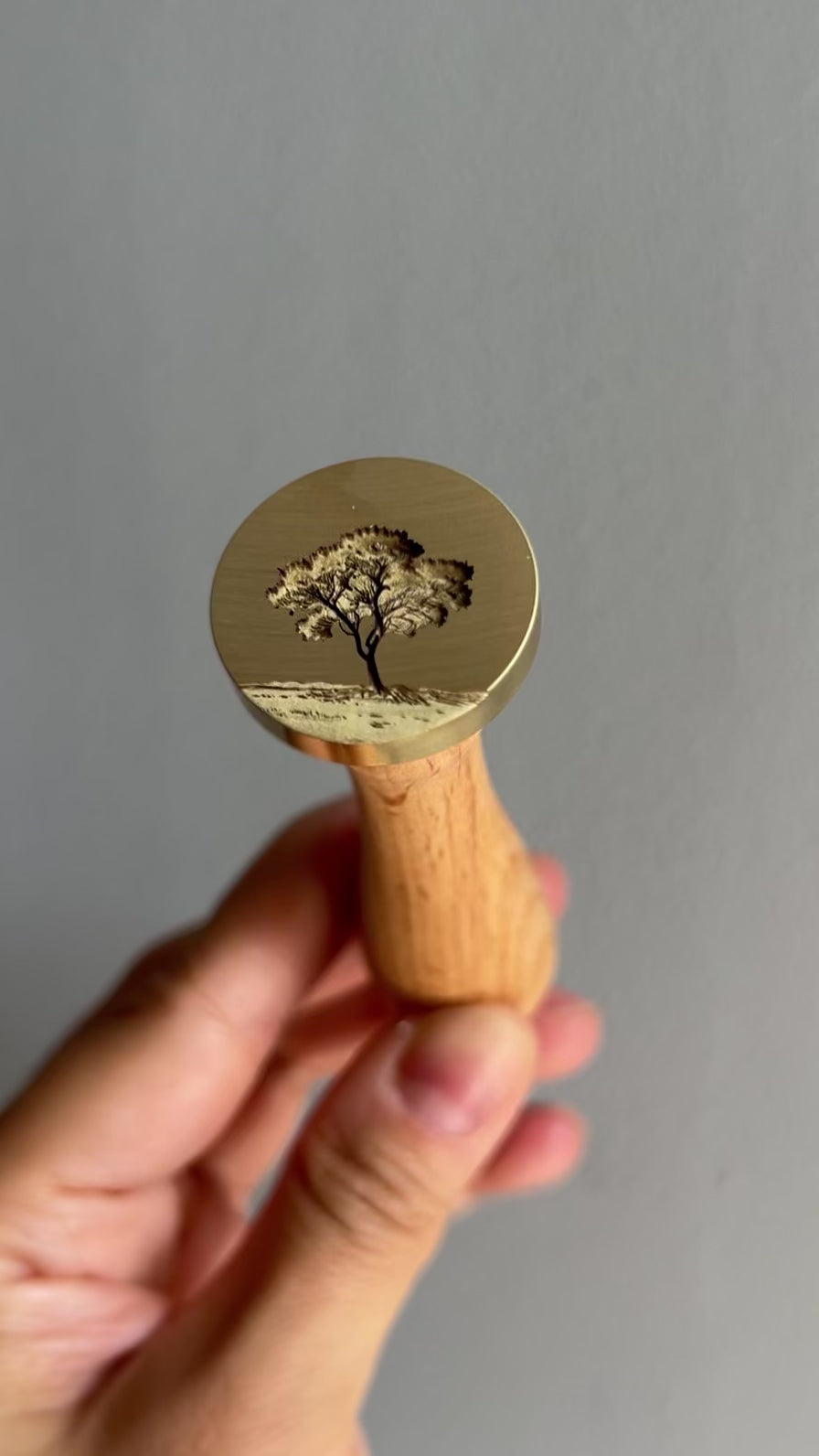Safari - 3D Acacia Tree Wax Stamp